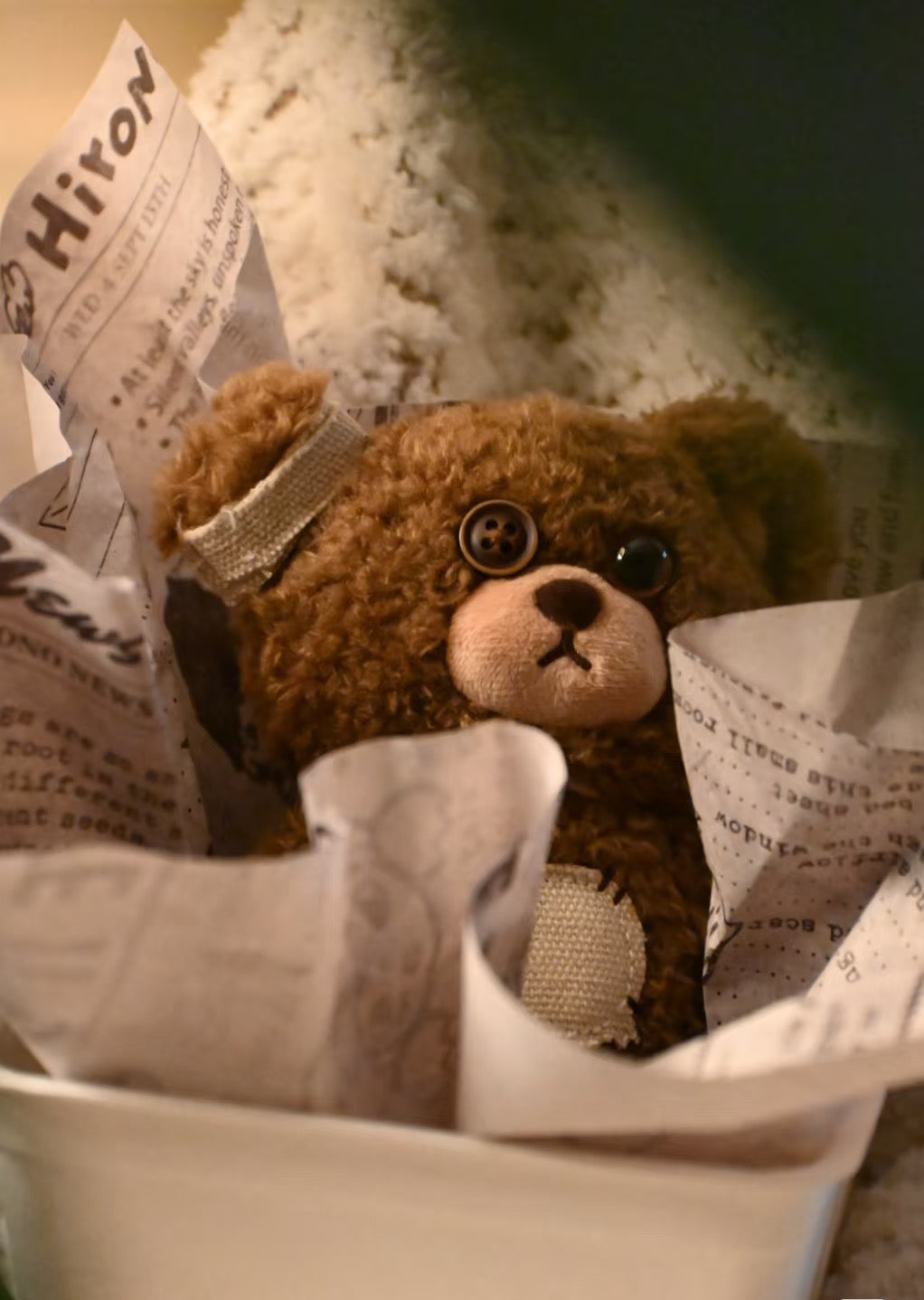 Hirono Bear Plush Toy